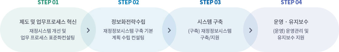 
		STEP1 제도 및 업무프로세스 혁신. 재정시스템 개선 및 업무 프로세스 표준화컨설팅
		STEP2 정보화전략수립. 재정정보시스템 구축 기본 계획 수립 컨설팅
		STEP3 시스템 구축. (구축)재정정보시스템 구축 지원
		STEP4 운영 유지보수. (운영) 운영관리 및 유지보수 지원